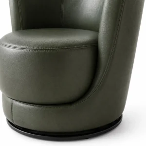Sage Accent Chair view 4