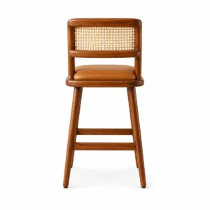 Nora Bar Stool view 1